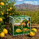 Belle of Piru® California Lemons BX Disfruta™ ORC.webp