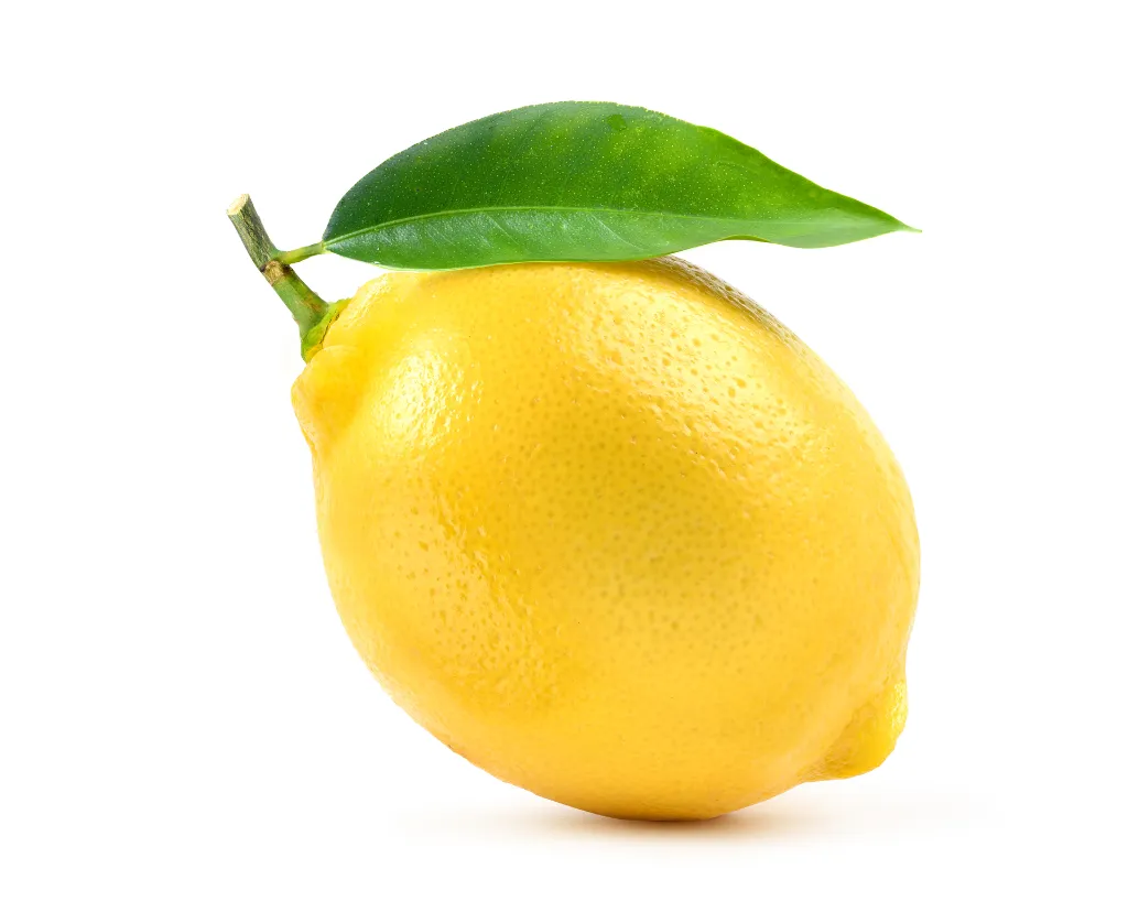 shutterstock_2561792041.webp