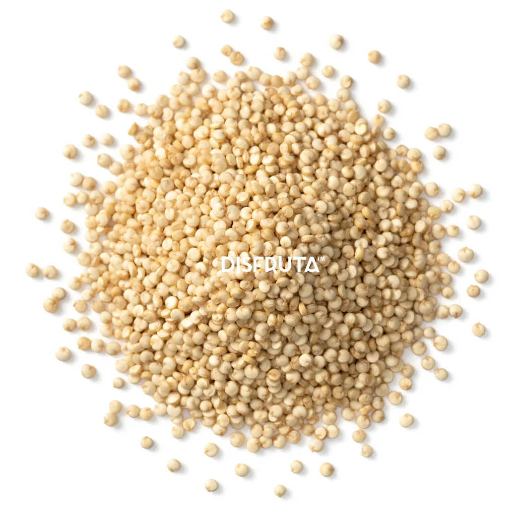 Semillas de Quinoa ISO.webp