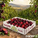 Family Tree Farms Plums ORC.webp