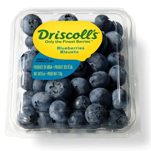 Bluebery Driscolls Clamshell 6oz.webp