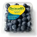 Bluebery Driscolls Clamshell 6oz.webp