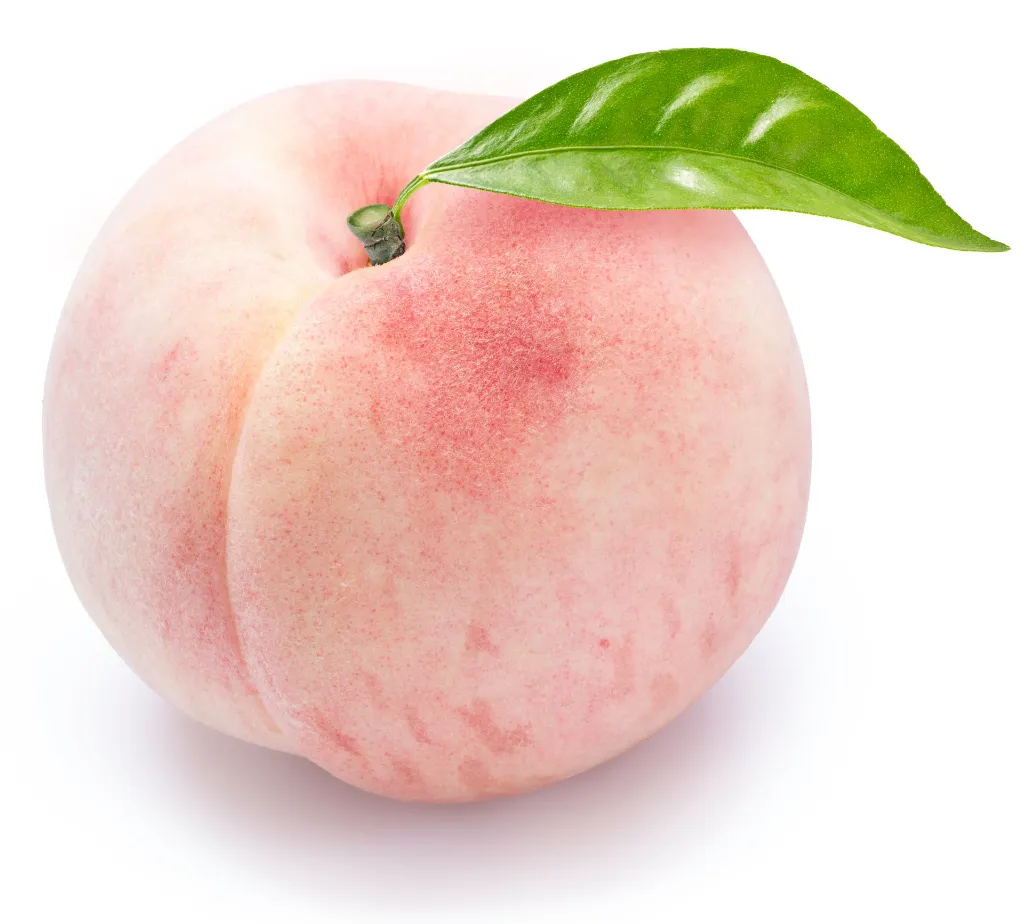 shutterstock_2593132603.webp