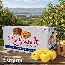 RemBrandt Golden Delicious ORC 1-1.webp
