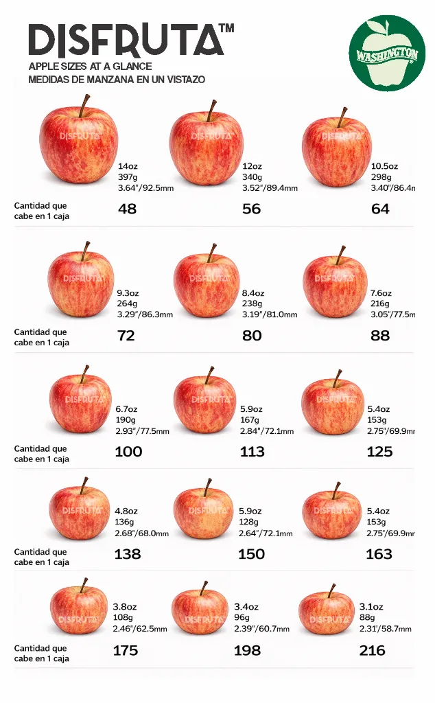 Royal Gala Apple Size Chart Disfruta™.webp