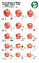 Royal Gala Apple Size Chart Disfruta™.webp