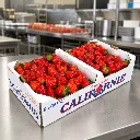 Strawberry California BX Gour 2.webp