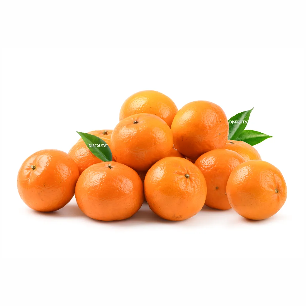 Mandarins ISP BLK.webp