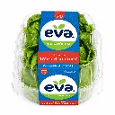 Lechuga Mini Romaine 4PZ.webp