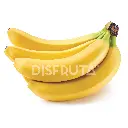 Plátano Cavendish Disfruta™ GRL.webp