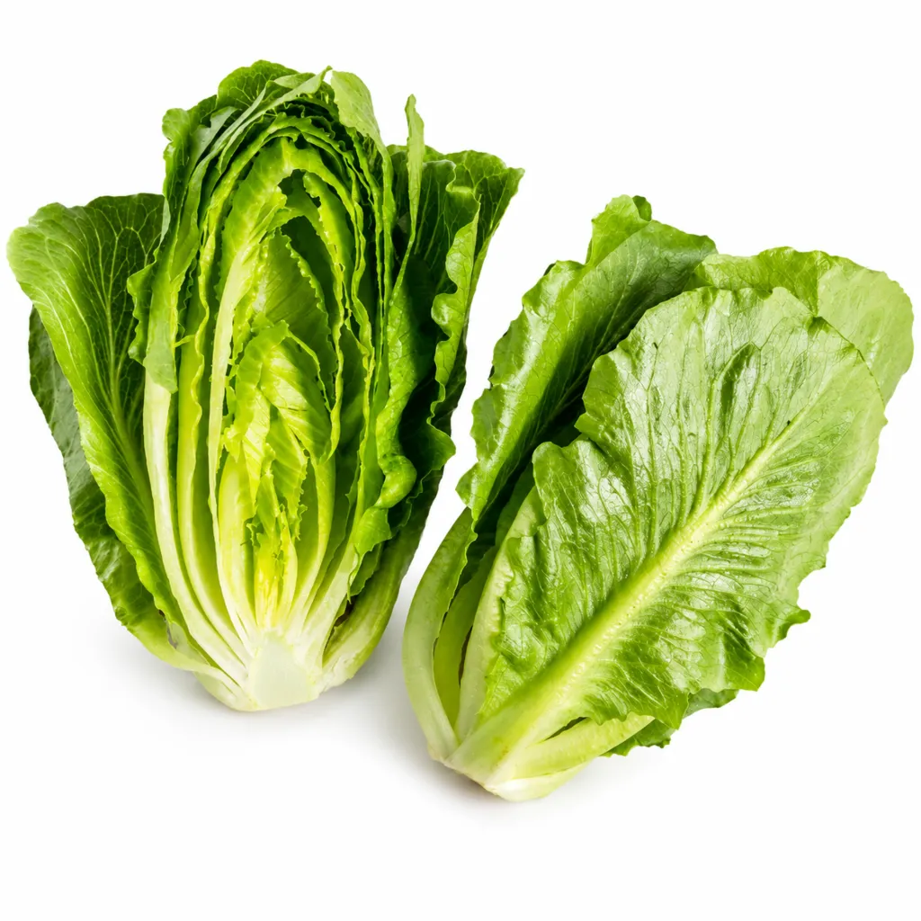 Lechuga Sweet Crunchy eva® ISO.webp