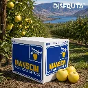 Manson Golden Apple ORC Disfruta™.webp