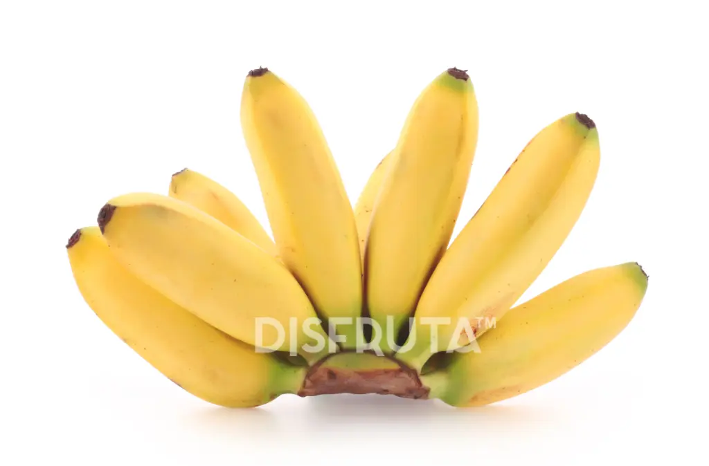 Banana Guineo GRL.webp