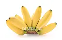 Banana Guineo GRL.webp
