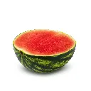 shutterstock_1896314170.webp