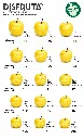 Apple Size Chart Disfruta™.webp