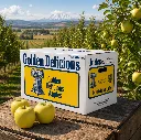 Golden Delicious Apple Independence BX ORC Disfruta™.webp