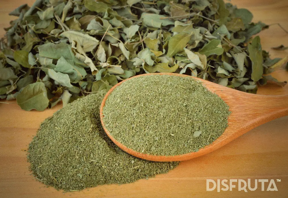 Hojas de Moringa Desh & Pulverizada.webp
