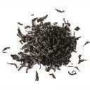 Té Negro ISO BLK.webp