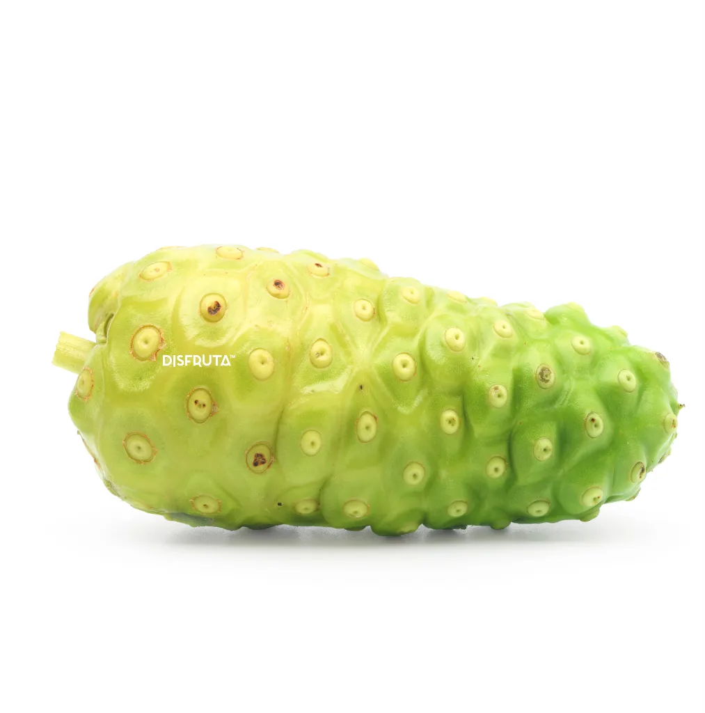 Indian Mulberry ISO 2 Disfruta™.webp