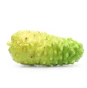 Indian Mulberry ISO 2 Disfruta™.webp