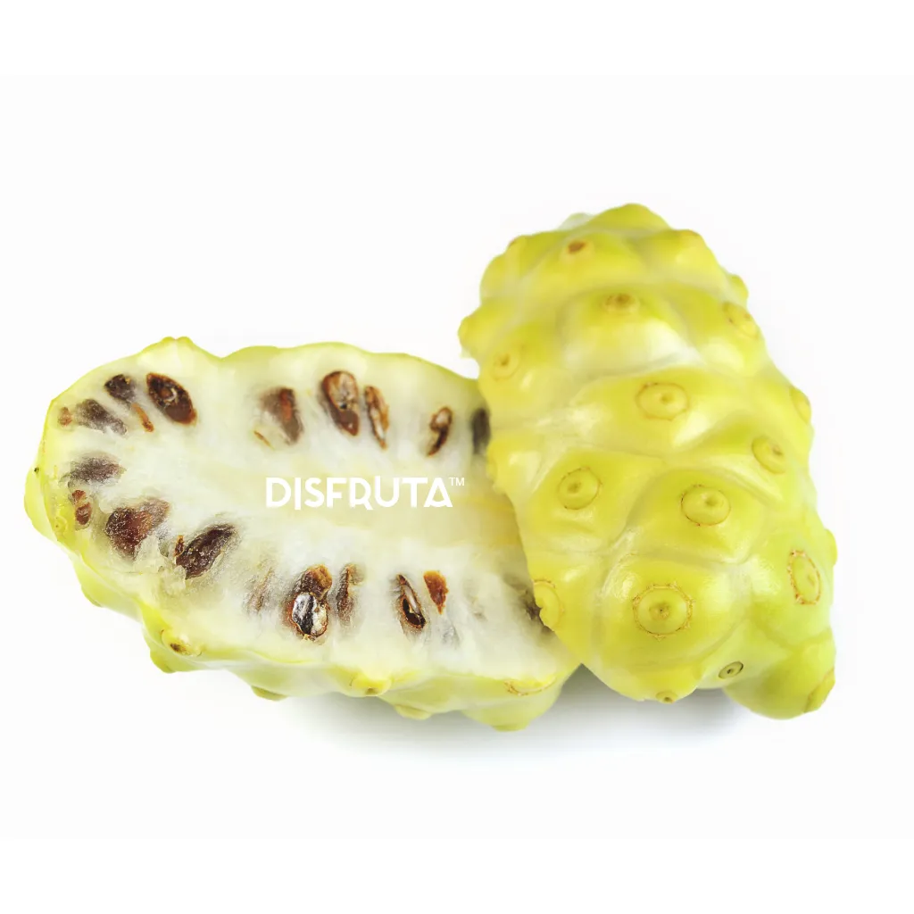 Indian Mulberry ISO Disfruta™.webp