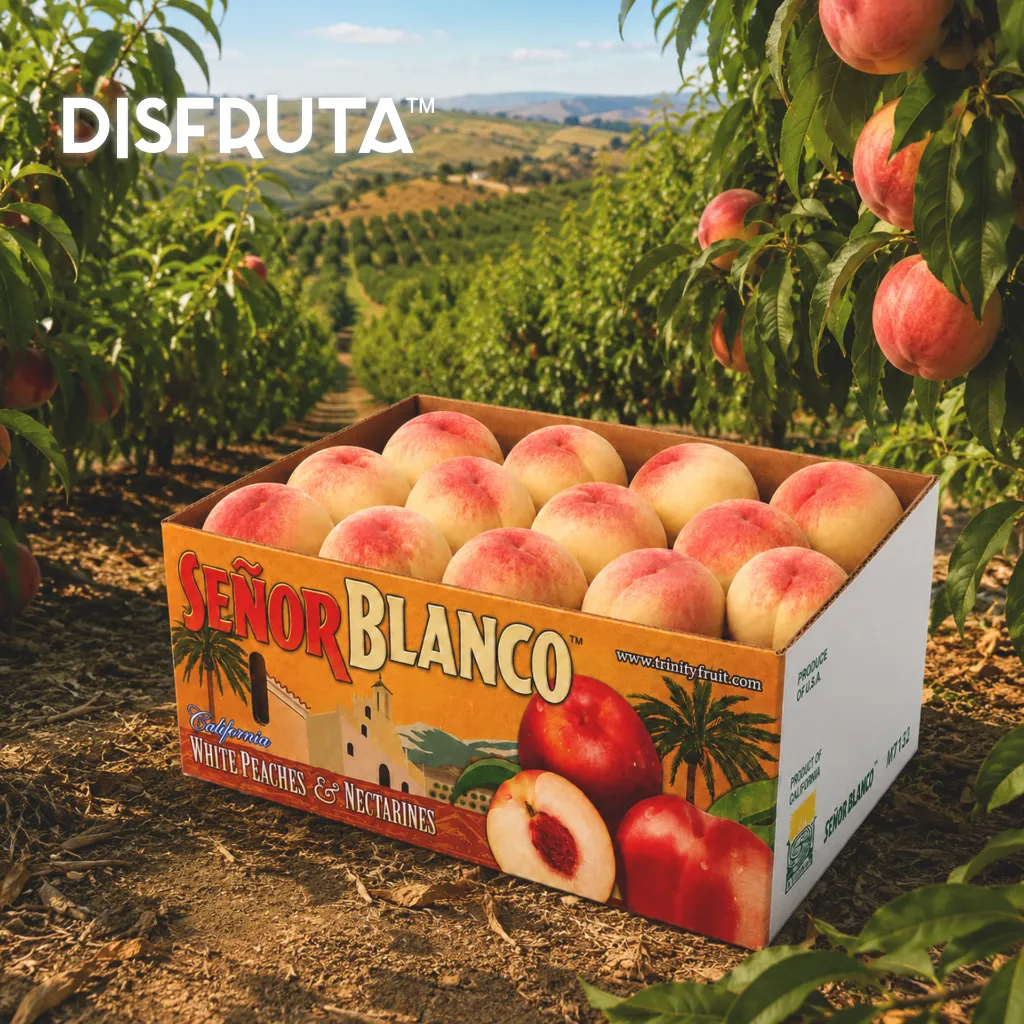 Señor Blanco White Nectarines Orc.webp