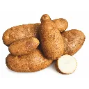 Papa Russet Norkotah ISO.webp