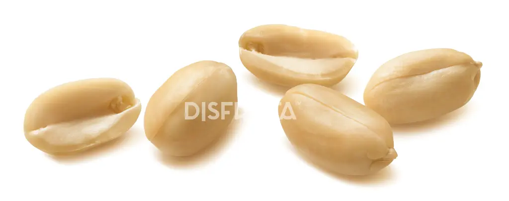 Cacahuate Virginia 1.webp