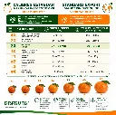 Mandarin Size Chart Disfruta™.webp