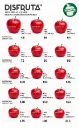 Red Delicious Apple Size Chart Disfruta™.webp
