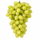 Uva Tympson™ Sheengene 21.webp