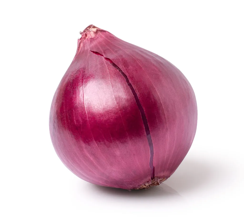 Purple Onion Disfruta™.webp