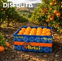 Brixi Mandarin ORC Disfruta™.webp