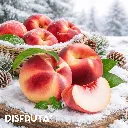 Nectarina White Flesh Disfruta™ Gourmet 1.webp