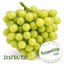 Atumncrisp® Grapes ISO SunWorld® Disfruta™.gif