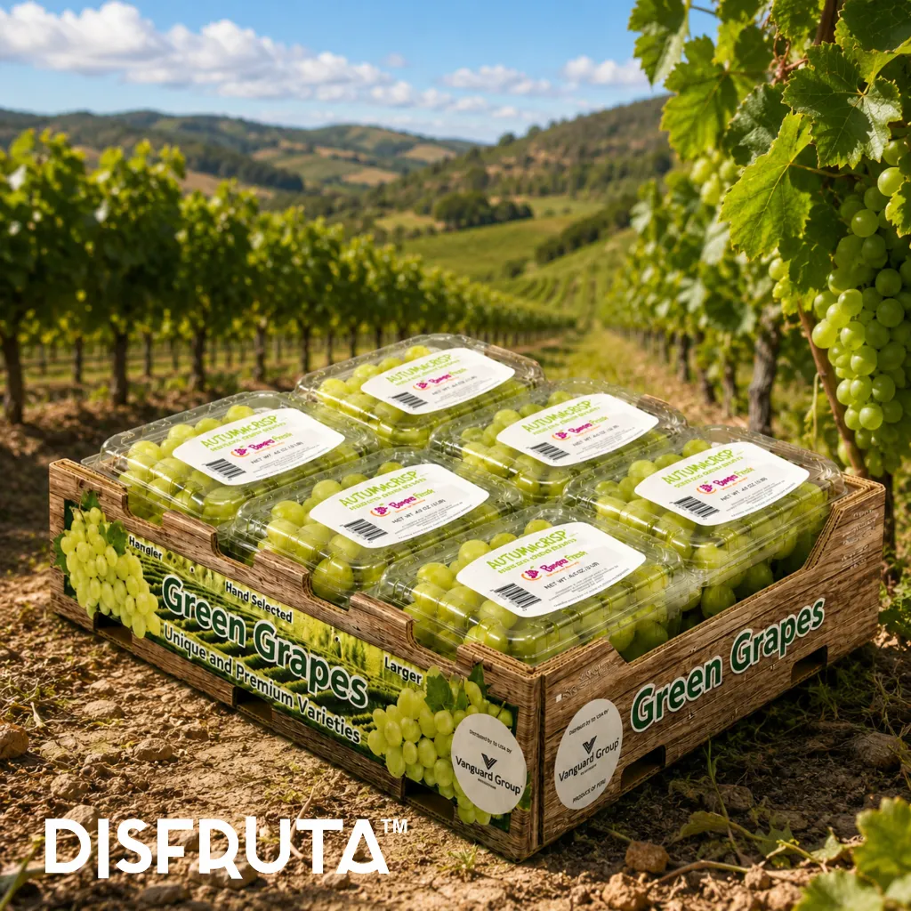 Green Grapes Generic Clamshell ORC Disfruta™.webp