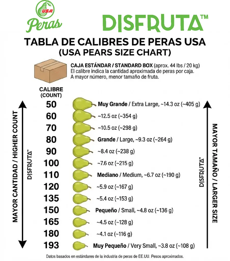 Size Chart Usa Pears® Disfruta™.webp
