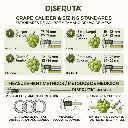 Green Grapes Chart Size Disfruta™.gif