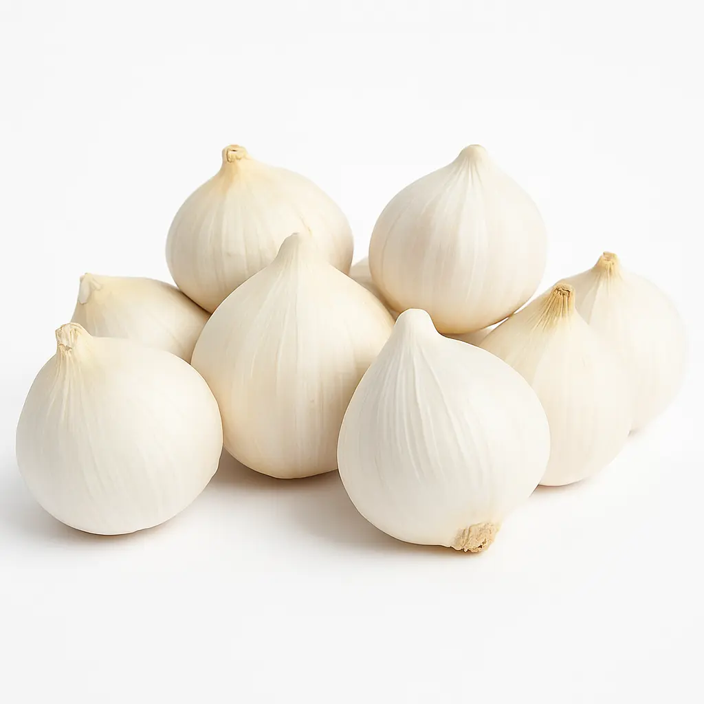 Ajo Macho One Clove Garlic 2.webp