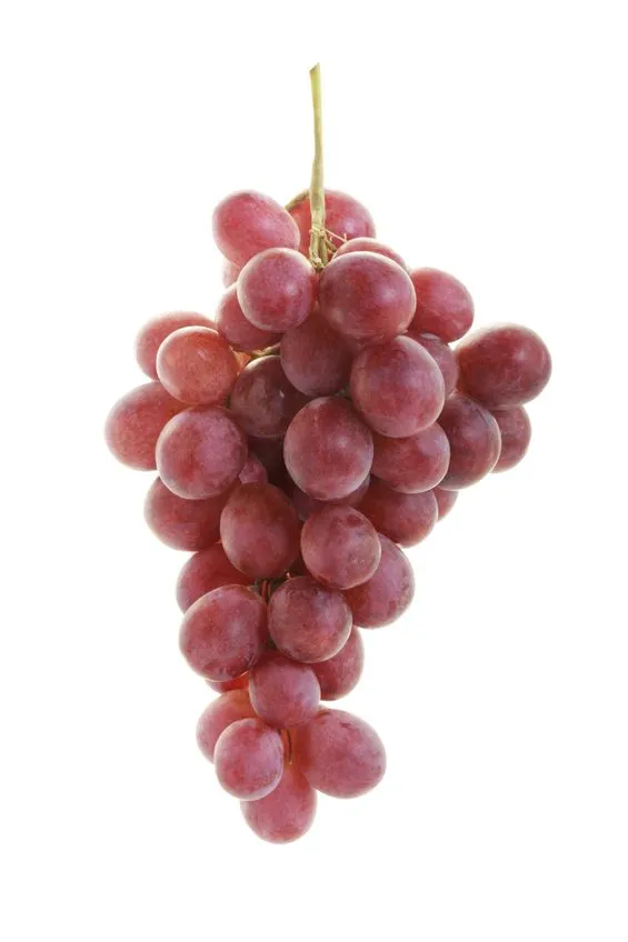 Uva Red Globe GRL.webp