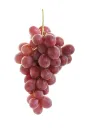 Uva Red Globe GRL.webp