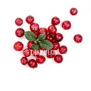 Cranberries 2.webp
