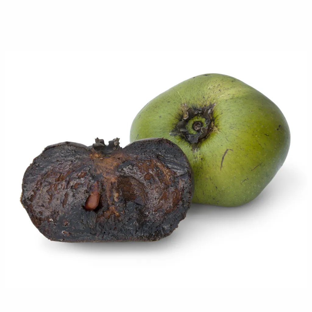 Sapote Negro Cut 1 Disfruta™.webp