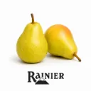 Pera Barlett RAINIER GRL.webp