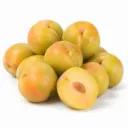 Plumcot Harvest Gold ISO.webp