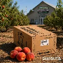 Farmer's Market Peaches ORCH Family Tree Farms® Disfruta™.webp