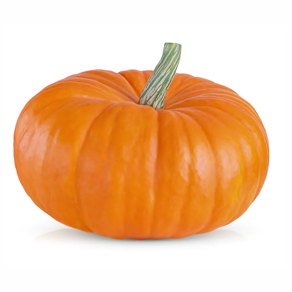 Mini Jack Pumkin ISO 2 Disfruta™.webp