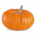 Mini Jack Pumkin ISO 2 Disfruta™.webp