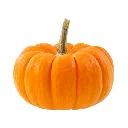 Mini Jack Pumkin ISO 1 Disfruta™.webp